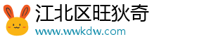 江北区旺狄奇